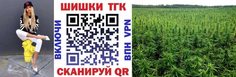 Виды наркотиков купить Карачев Конопля  COCAIN  Псилоцибиновые грибы  МЕФ  MDMA  Гашиш 
