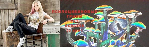 гидропоника Нефтегорск