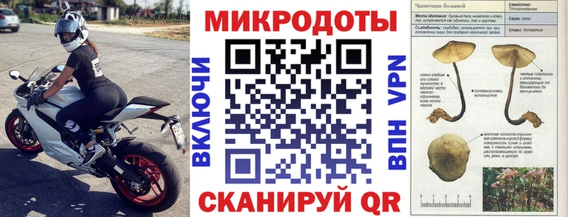 ОМГ ОМГ как зайти Карачев Галлюциногенные грибы ЛСД где купить наркотик